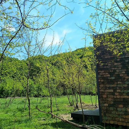 Готель Retreat In Padure Buchin Екстер'єр фото