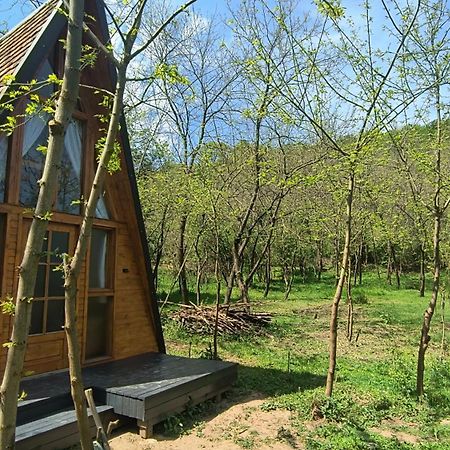 Готель Retreat In Padure Buchin Екстер'єр фото
