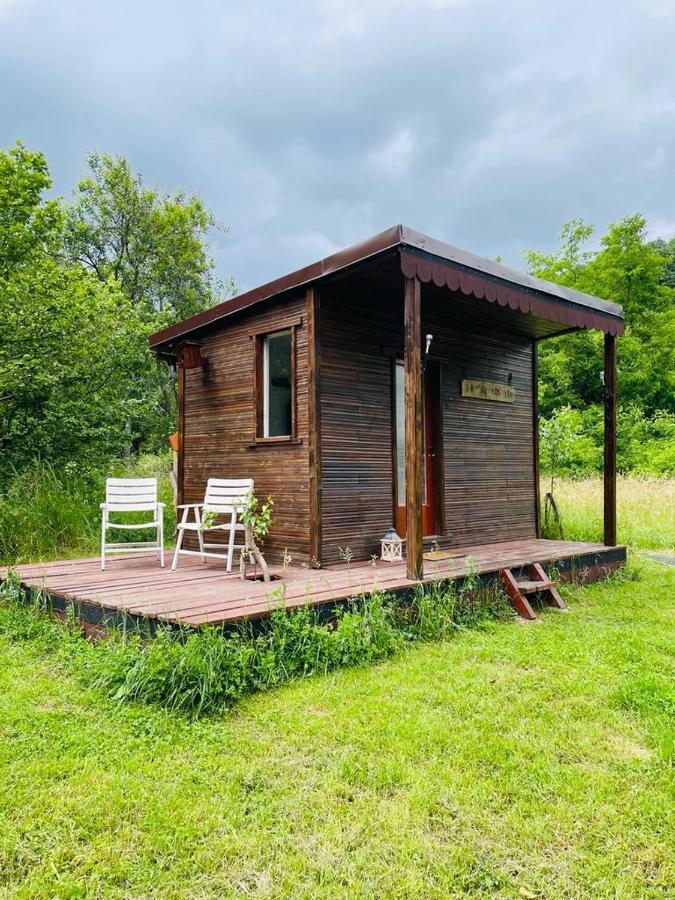 Готель Retreat In Padure Buchin Екстер'єр фото
